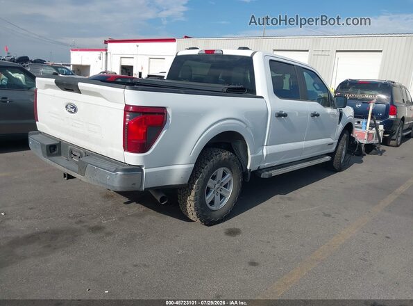 1FTFW1FD6RFB59656 2024 FORD F150 White Tył prawy