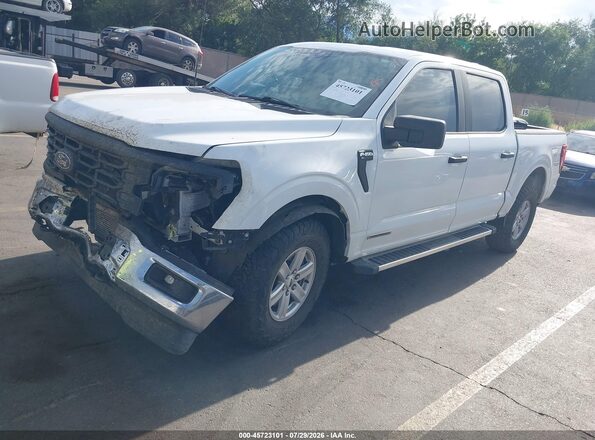 1FTFW1FD6RFB59656 2024 FORD F150 White Widok wnętrza 360 stopni