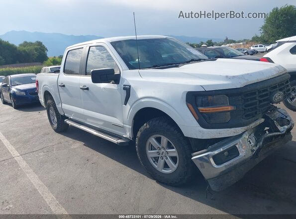 1FTFW1FD6RFB59656 2024 FORD F150 White Widok wnętrza z tyłu