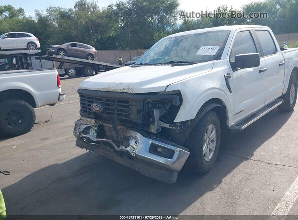 1FTFW1FD6RFB59656 2024 FORD F150 White Widok zestawu wskaźników