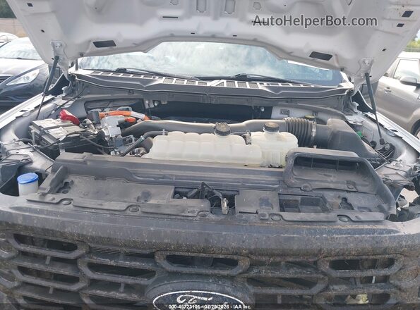 1FTFW1FD6RFB59656 2024 FORD F150 White Widok z tyłu