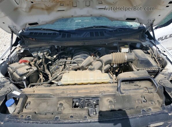 1FTFW1L52RKD92244 2024 FORD F150 White Widok wnętrza z tyłu