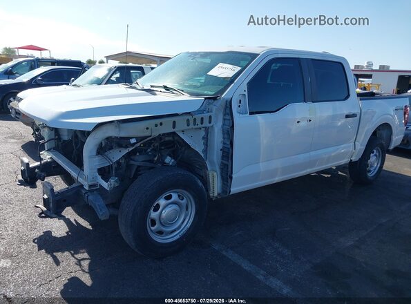 1FTFW1L54RKD84016 2024 FORD F150 White Widok wnętrza z tyłu