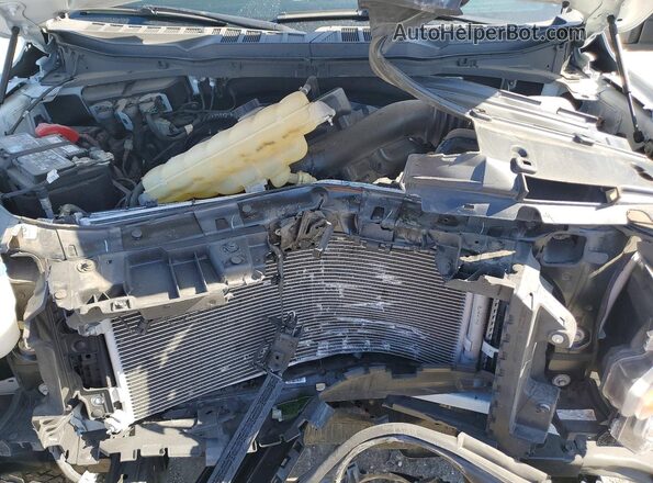 1FTFW1L56RKF46454 2024 FORD F150 Белый Вид задней части салона