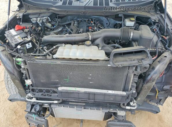 1FTFW1P8XMKE68564 2021 FORD F150 Red Widok wnętrza z tyłu