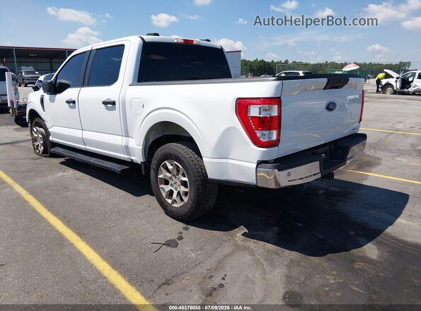 1FTFW1P8XPKF50136 2023 FORD F-150 POLICE RESPONDER Белый Задняя левая четверть