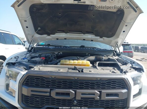 1FTFW1RG3KFA61079 2019 FORD F150 White Հետևի տեսք