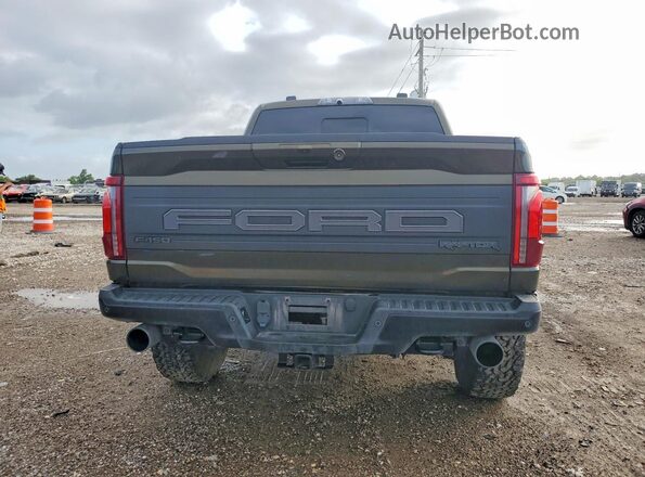 1FTFW1RG6SFC00119 2025 FORD F150 Green Rear view