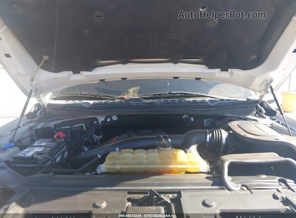 1FTFW1RG7KFA74384 2019 FORD F150 White Вид ззаду