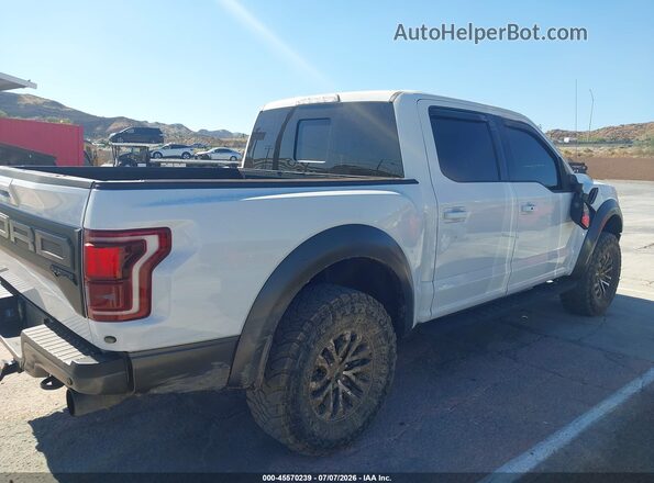 1FTFW1RG7KFA74384 2019 FORD F150 White Вид задньої частини салону