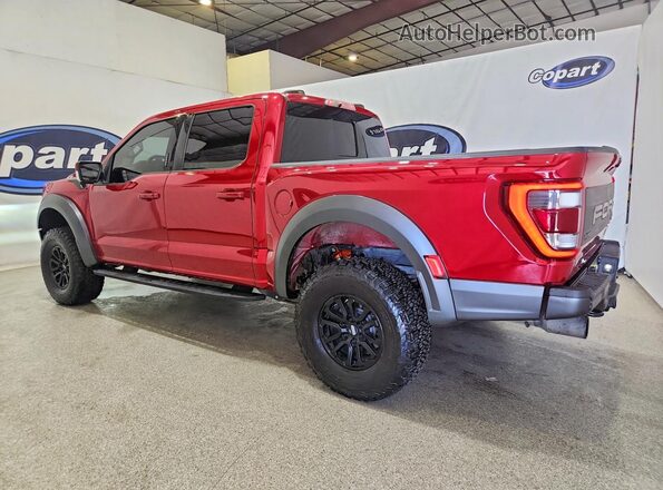 1FTFW1RG7MFC62700 2021 FORD F150 Red Հետևի ձախ
