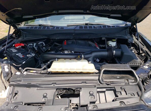 1FTFW1RG8RFB04857 2024 FORD F150 Зеленый Вид задней части салона