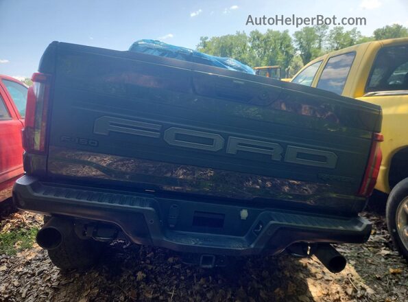 1FTFW1RG8RFB04857 2024 FORD F150 Зеленый Вид сзади