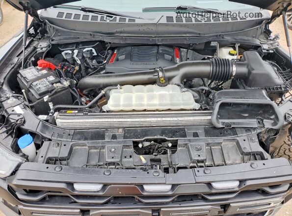 1FTFW1RG8SFA84521 2025 FORD F150 Серый Вид задней части салона
