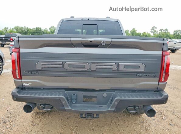 1FTFW1RG8SFA84521 2025 FORD F150 Серый Вид сзади