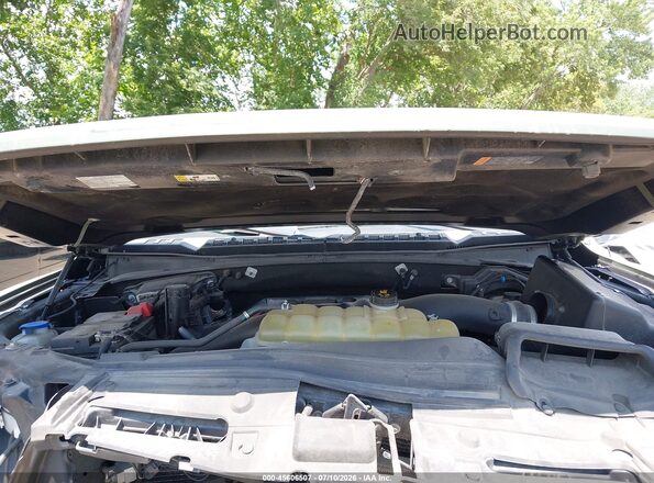 1FTFW1RG9KFB89200 2019 FORD F150 Green უკანა ხედი