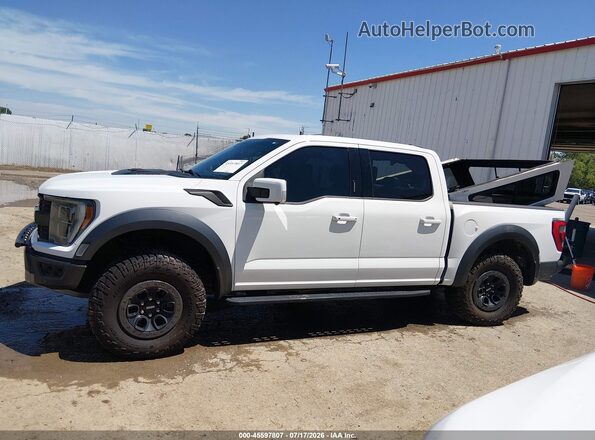 1FTFW1RGXPFA22139 2023 FORD F150 Белый Панорамный вид салона 360°