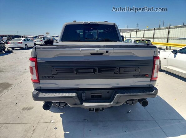 1FTFW1RJ8PFA96784 2023 FORD F150 Gray Rear view