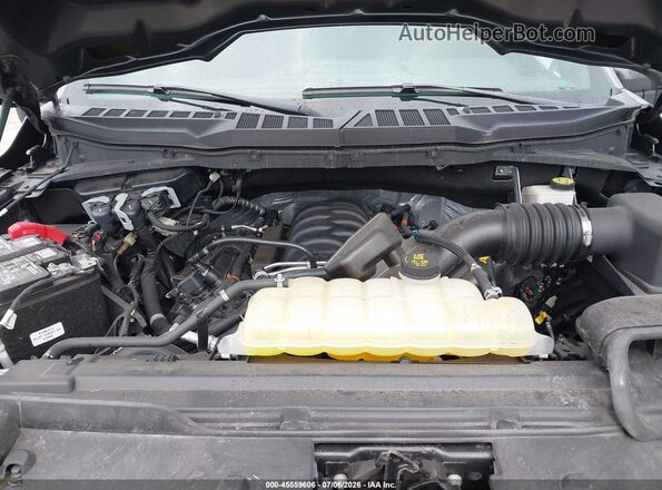 1FTFW2L50RFA35319 2024 FORD F150 Gray უკანა ხედი
