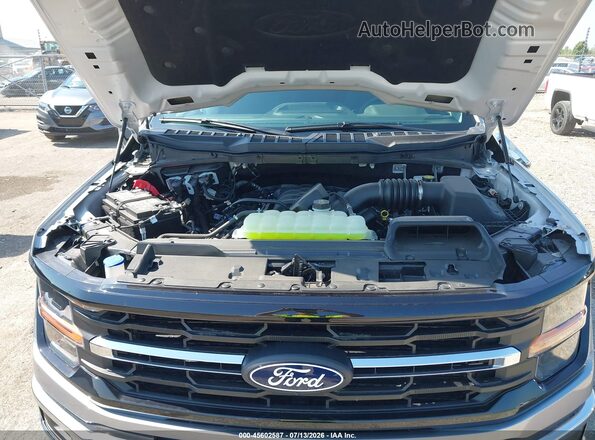 1FTFW3L53TFA06894 2026 FORD F150 Gray Widok z tyłu