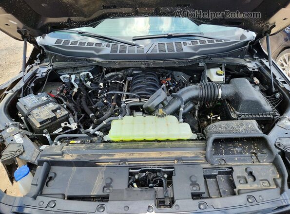 1FTFW3L57SFC73941 2025 FORD F150 Gray Widok wnętrza z tyłu