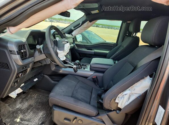 1FTFW3L57SFC73941 2025 FORD F150 Gray Widok wnętrza z przodu