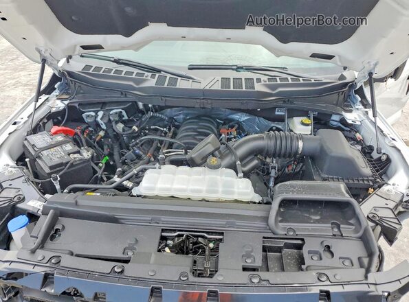 1FTFW3L57TKD87530 2026 FORD F150 White Սալոնի հետևի տեսք