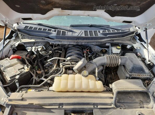 1FTFW3L59RKD40413 2024 FORD F150 White Սալոնի հետևի տեսք