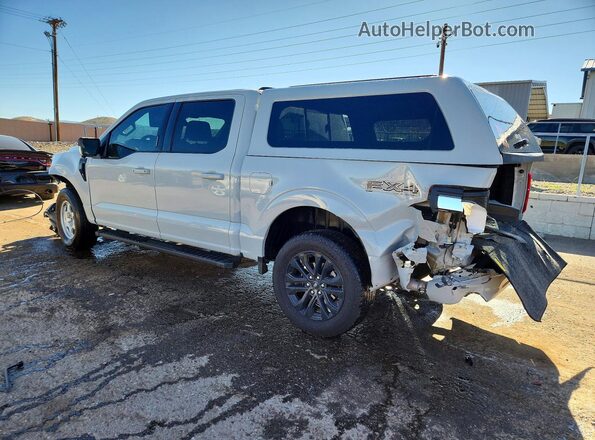 1FTFW3L82RFC02845 2024 FORD F150 Gray Tył lewy