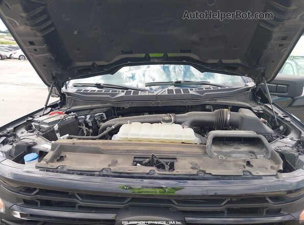 1FTFW3L82RKD58021 2024 FORD F150 Black Widok z tyłu