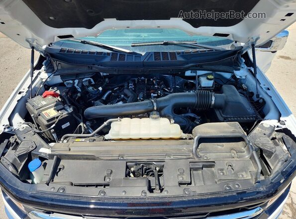 1FTFW3L82RKF16776 2024 FORD F150 White Սալոնի հետևի տեսք