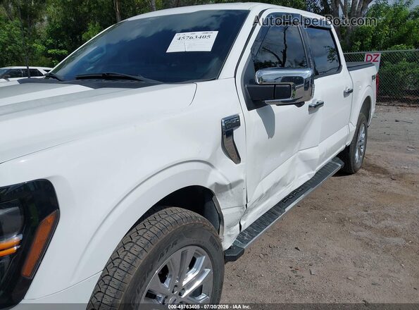 1FTFW3L83RKE37813 2024 FORD F150 Белый Вид спереди