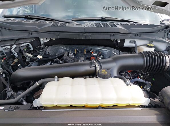 1FTFW3L83RKE37813 2024 FORD F150 Белый Вид сзади