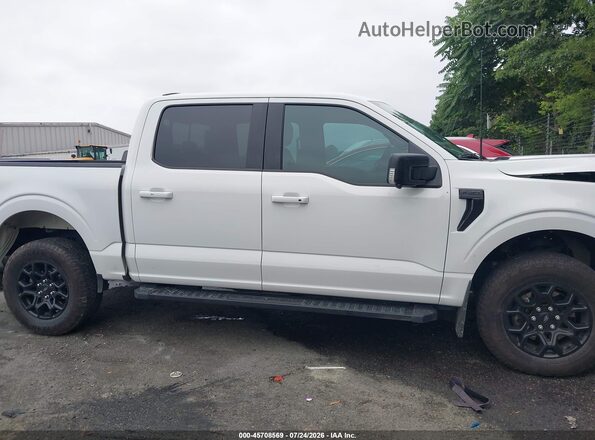 1FTFW3L83RKF42593 2024 FORD F150 White Սալոնի հետևի տեսք