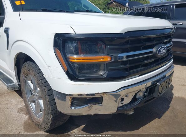 1FTFW3L84RKD08687 2024 FORD F150 Белый Вид спереди