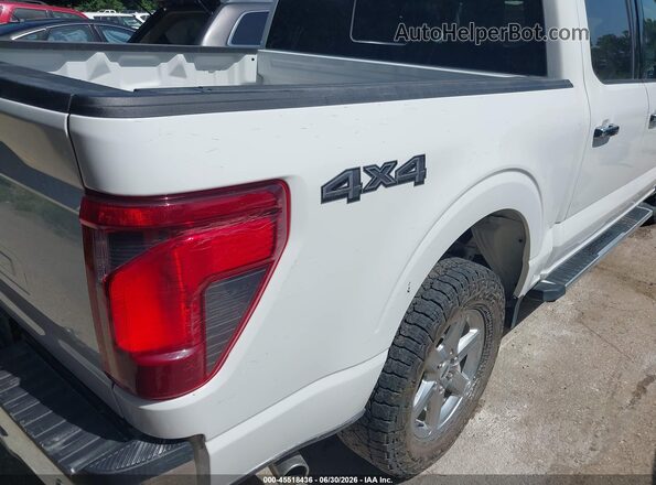 1FTFW3L84RKD08687 2024 FORD F150 Белый 