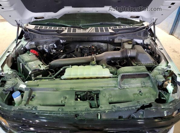 1FTFW3L86RKD02650 2024 FORD F150 Gray Widok wnętrza z tyłu