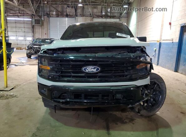 1FTFW3L86RKD02650 2024 FORD F150 Gray Widok z przodu