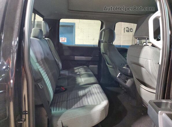 1FTFW3L86RKD02650 2024 FORD F150 Gray Widok tylnych siedzeń