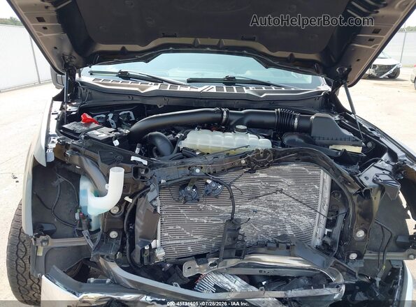 1FTFW3L86RKF79962 2024 FORD F150 Gray Հետևի տեսք