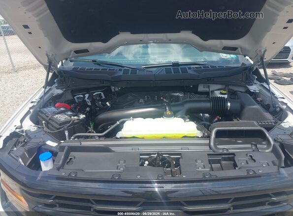 1FTFW3L86TKD99887 2026 FORD F150 Gray Widok z tyłu