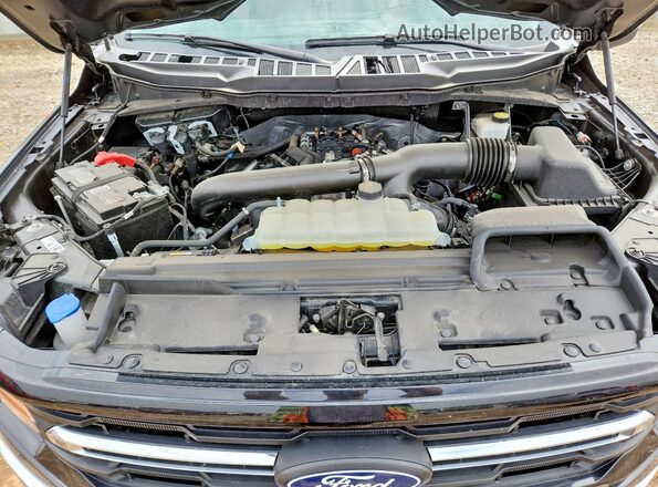 1FTFW3L89RFA27820 2024 FORD F150 Black Widok wnętrza z tyłu
