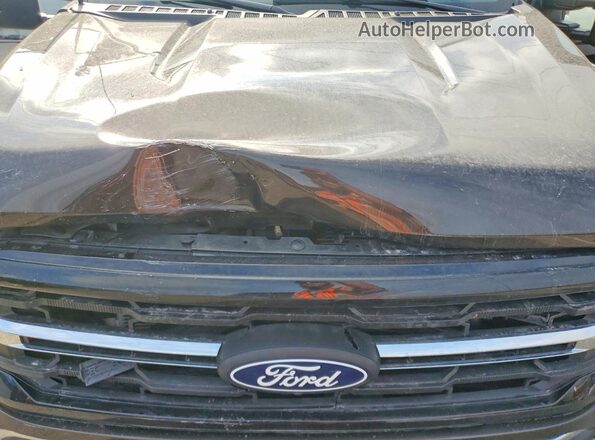 1FTFW3L89RFA95180 2024 FORD F150 Gray უკანა სალონის ხედი