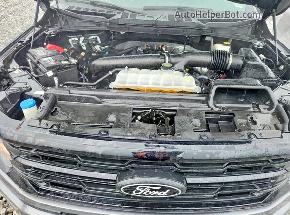1FTFW3L89RKF42436 2024 FORD F150 Gray უკანა სალონის ხედი