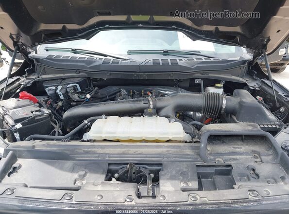 1FTFW3L8XRKF80869 2024 FORD F150 Gray Rear view