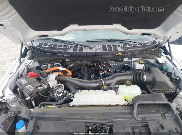 1FTFW3LD0RFA01023 2024 FORD F150 White Հետևի տեսք