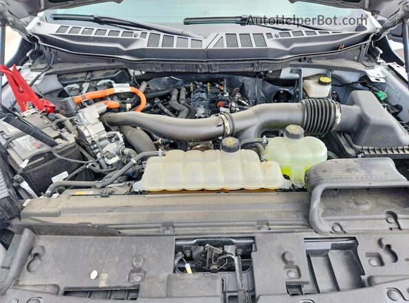 1FTFW3LD0RFB88750 2024 FORD F150 Silver უკანა სალონის ხედი
