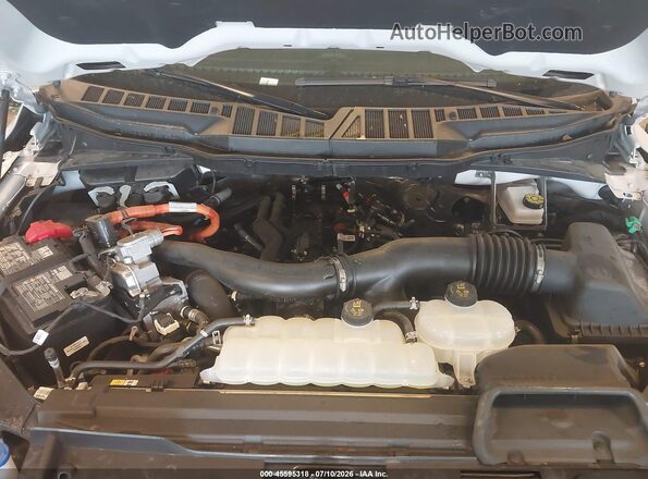 1FTFW3LD0SFB45158 2025 FORD F150 Gray Rear view