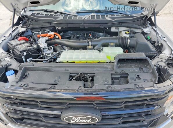 1FTFW3LD0SFB66186 2025 FORD F150 Silver Вид задньої частини салону