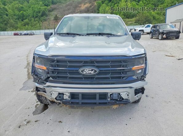 1FTFW3LD0SFB66186 2025 FORD F150 Silver Вид спереду